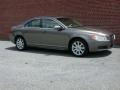 2009 Oyster Gray Metallic Volvo S80 3.2  photo #2