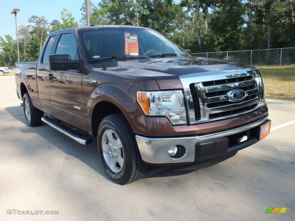 Golden Bronze Metallic Ford F150