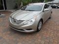 Camel Pearl - Sonata GLS Photo No. 1