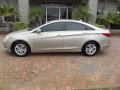 Camel Pearl - Sonata GLS Photo No. 2