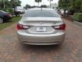 Camel Pearl - Sonata GLS Photo No. 4