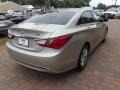 Camel Pearl - Sonata GLS Photo No. 5