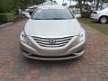 Camel Pearl - Sonata GLS Photo No. 7