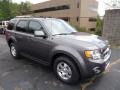 2012 Sterling Gray Metallic Ford Escape Limited V6 4WD  photo #1