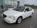 Icelandic Pearl - Maxima SE Photo No. 2