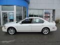 Icelandic Pearl - Maxima SE Photo No. 5