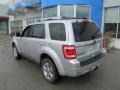 2010 Ingot Silver Metallic Ford Escape Limited V6 4WD  photo #5