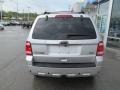 2010 Ingot Silver Metallic Ford Escape Limited V6 4WD  photo #6