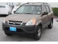 2004 Mojave Mist Metallic Honda CR-V LX  photo #3