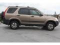 2004 Mojave Mist Metallic Honda CR-V LX  photo #7