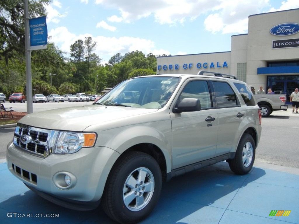 2012 Escape XLT - Gold Leaf Metallic / Camel photo #1