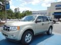 2012 Gold Leaf Metallic Ford Escape XLT  photo #1
