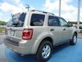 2012 Gold Leaf Metallic Ford Escape XLT  photo #3