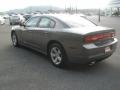 Tungsten Metallic - Charger SE Photo No. 9