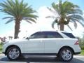 Arctic White - ML 350 4Matic Photo No. 1