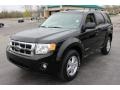 Black 2008 Ford Escape XLT