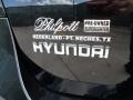 2010 Phantom Black Metallic Hyundai Santa Fe Limited  photo #20