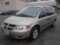 2006 Linen Gold Metallic Dodge Grand Caravan SE  photo #1