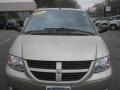 Linen Gold Metallic - Grand Caravan SE Photo No. 13