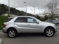 Iridium Silver Metallic - ML 500 4Matic Photo No. 2