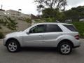 Iridium Silver Metallic - ML 500 4Matic Photo No. 6