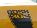 2013 Ford Mustang Boss 302 Marks and Logos