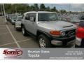 Titanium Metallic - FJ Cruiser 4WD Photo No. 1