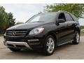 Black - ML 350 4Matic Photo No. 1