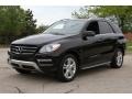 Black - ML 350 4Matic Photo No. 42