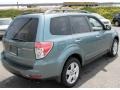 2009 Sage Green Metallic Subaru Forester 2.5 X Premium  photo #6