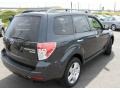 2010 Dark Gray Metallic Subaru Forester 2.5 X Premium  photo #6
