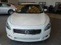 Winter Frost White - Maxima 3.5 SV Photo No. 2