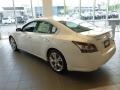 Winter Frost White - Maxima 3.5 SV Photo No. 5