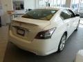 Winter Frost White - Maxima 3.5 SV Photo No. 7