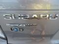 2010 Steel Silver Metallic Subaru Forester 2.5 X Limited  photo #25