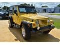 Solar Yellow - Wrangler Rubicon 4x4 Photo No. 11
