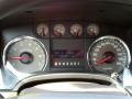 2010 Ingot Silver Metallic Ford F150 XLT SuperCrew 4x4  photo #2