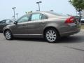 Oyster Gray Metallic - S80 3.2 Photo No. 4