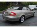 Pewter Metallic - CLK 350 Cabriolet Photo No. 6