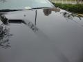 Pitch Black - Challenger SXT Photo No. 16