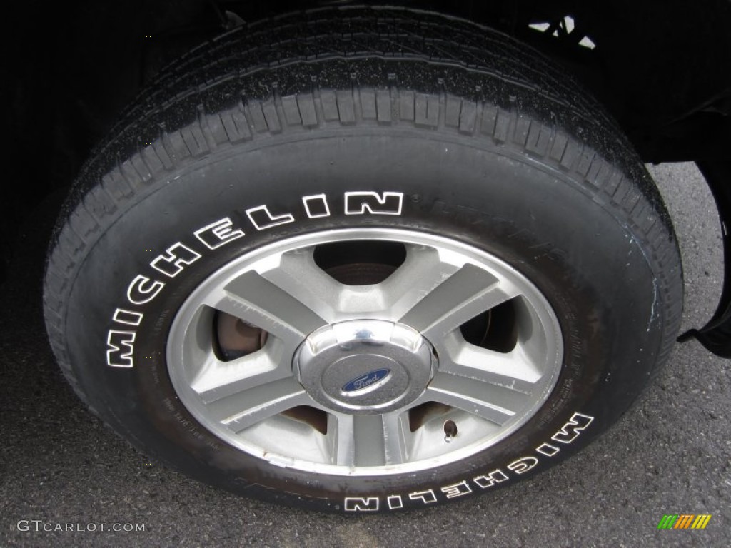 2006 F150 XLT SuperCrew - Silver Metallic / Medium Flint photo #49