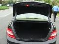 Black - C 300 Luxury Photo No. 20