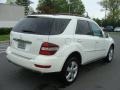 Arctic White - ML 350 4Matic Photo No. 7