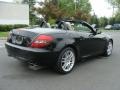 2009 Black Mercedes-Benz SLK 300 Roadster  photo #12