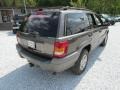 Taupe Frost Metallic - Grand Cherokee Laredo 4x4 Photo No. 5