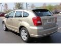 Light Sandstone Metallic - Caliber SXT Photo No. 2