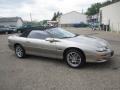 Light Pewter Metallic - Camaro Z28 Convertible Photo No. 9