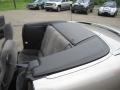 Light Pewter Metallic - Camaro Z28 Convertible Photo No. 26