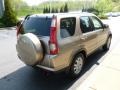 2005 Sahara Sand Metallic Honda CR-V Special Edition 4WD  photo #5