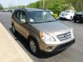 2005 Sahara Sand Metallic Honda CR-V Special Edition 4WD  photo #6